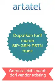 sip trunk